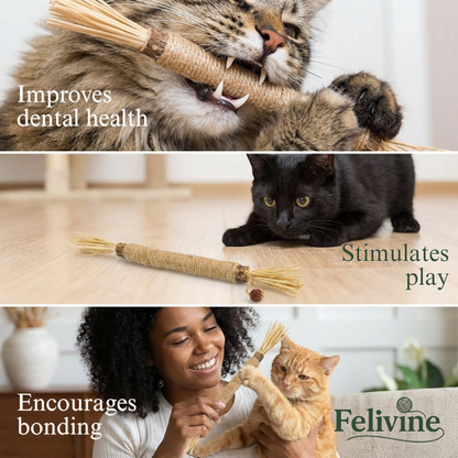 Felivine Silvervine Sticks