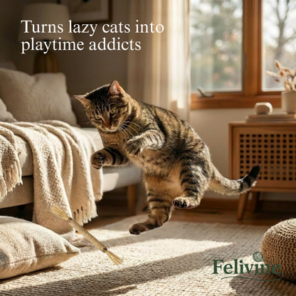 Felivine Silvervine Sticks