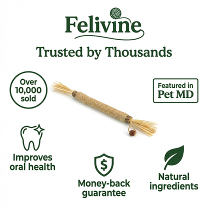 Felivine Silvervine Sticks
